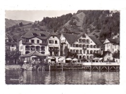 CH 6442 GERSAU SZ, Hotel Belle-vue & Hotel Beausejour, 1951 - Gersau