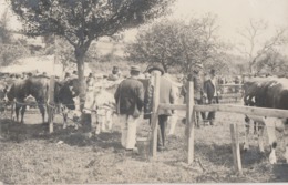 SONGEONS - CONCOURS AGRICOLE DU 16 JUIN 1907 - SUPERBE CARTE PHOTO TRES TRES ANIMEE - 2 SCANNS - TOP !!! - Songeons