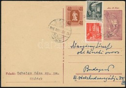 1946 - Sonstige & Ohne Zuordnung