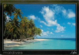 Maldives - Tropical Paradise - Moderne Grand Format - Bon état Général - Maldiven