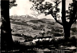 Blick V. Gupf Ob Rehetobel Auf Trogen & Säntis (23928) * 14. 7. 1958 - Rehetobel