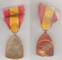Médaille Commémorative 1914-18 - Belgien