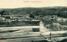 52 - POISSONS - Panorama De Pechère. - Poissons