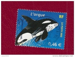 N° 3487 Nature De France - Animaux Marins L'orque TIMBRE  FRANCE  Oblitéré 2002 - Autres & Non Classés