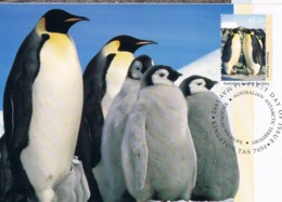 AUSTRALIAN ANTARCTIC TERRITORY (AAT) • 1992 • ANTARCTIC REGIONAL WILDLIFE • MAXIMUM CARD SET OF 5 - Maximum Cards