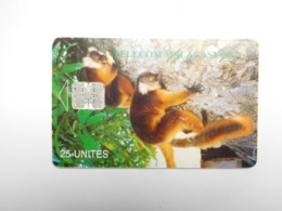 Télécarte Magagascar , Malagasy , Singe Lémurien - Madagaskar