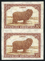 ARGENTINA: GJ.788P, 30c. Sheep, Sun With Straight Rays Wmk, Variety: IMPERFORATE PAIR, Excellent Quality! - Sonstige & Ohne Zuordnung