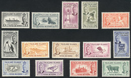 FALKLAND ISLANDS/MALVINAS: Yv.101/114, 1952 Animals, Birds, Ships, Etc., Cmpl. Set Of 14 Values, Mint Very Lightly Hinge - Falklandinseln