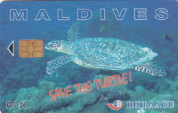 MALDIVES - Save The Turtle!, CN : 256MLDGIB, Used - Maldives
