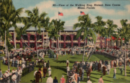 ! Alte Ansichtskarte Miami, Florida, Hialeah Race Course, Horses, Pferderennbahn - Miami