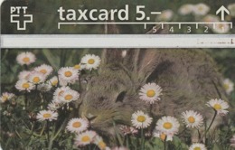 SUIZA. Rabbit. 624A. 04/1996. S053.A-P53. (317). - Rabbits