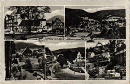 CPA AK Bad Herrenalb- Souvenir GERMANY (903106) - Bad Herrenalb