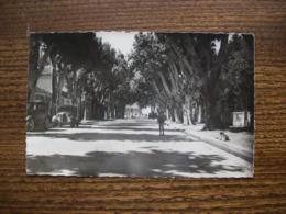 Carte Postale Ancienne De Monteux: Le Boulevard De Verdun - Monteux