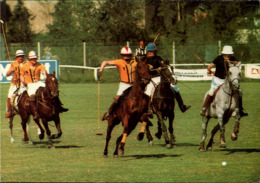 ! Moderne Ansichtskarte 1983 Lier, Polo, Sport, Pferde, Horses - Horse Show