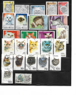 DEBUTANTS / CHATS / LOT Vrac De 25 Timbres Oblitérés - Andere & Zonder Classificatie