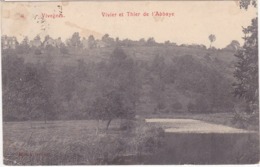 41727  -   Vivegnis  Vivier  Et Thier  De L'abbaye - Oupeye