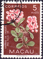 Macau - Christusdorn (Euphorbia Milii) (MiNr: 396) 1953 - Gest Used Obl - Gebraucht