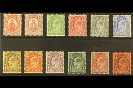 1909-11  Definitives Complete Set, SG 115/26, Fine Fresh Mint. (12 Stamps) For More Images, Please Visit Http://www.sand - Turks And Caicos