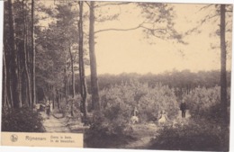 41737 -    Rijmenam  Dans  Le  Bois - Bonheiden