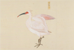 AKJP Japan Postcards Showing Paintings - Birds - Crested Ibis - Sparrow - Rufous-bellied Thrush - Verzamelingen & Kavels