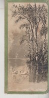 Calendarietto Antico 1906 Lago Con Cigni - Klein Formaat: 1901-20