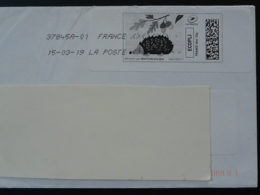 Hérisson Hedgehog Timbre En Ligne Sur Lettre (e-stamp On Cover) TPP 4490 - Printable Stamps (Montimbrenligne)