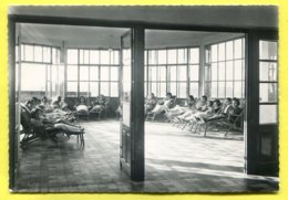 DIEMOZ  -" Le Repos Sous Le S Pins " Le Solarium à L'heure Du Repos. Photo. Bernard Bellay - Diémoz