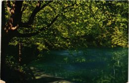 CPA AK Blaubeuren Blautopf GERMANY (897462) - Blaubeuren