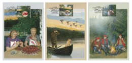 FINLAND 2010 Autumn: Set Of 3 Maximum Cards CANCELLED - Maximumkaarten