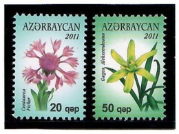Azerbaijan 2011 . Definitives. Flowers. 2v: 20, 50     Michel # 835-36 - Azerbaïjan