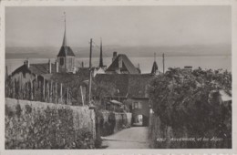 Suisse - Auvernier - Panorama - Auvernier