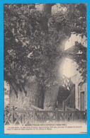 CPA-76-ALLOUVILLE-BELLEFOSSE- Ann.1900- Chêne-Chapelle* TOP* 2 SCANS *** - Allouville-Bellefosse