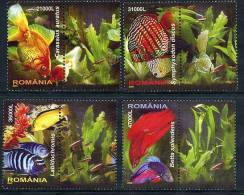 ROMANIA 2005  Tropical Fish MNH / **.  Michel 5912-15 - Unused Stamps