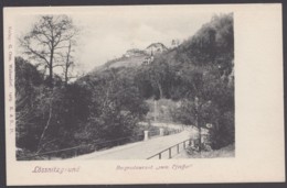 "Lössnitzgrund", Restaurant "Pfeiffer", Ca. 1910 - Loessnitz