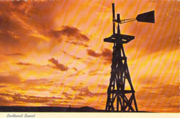 Amérique Etats-Unis > NM New Mexico SOUTHWEST SUNSET Windmills (Moulin à Vent) SOUTHWEST Post Card Albuquerque*PRIX FIXE - Albuquerque