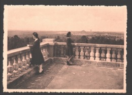 Blegny-Trembleur - Institut St-Joseph - Pensionnat Pour Jeunes Filles - L'Horizon Vu De La Terrasse - Blégny