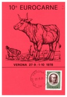 Thème Animaux - Vache, Poule - Italie Carte - Boerderij