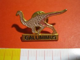 MED.1 PIN'S PIN PINS - ITALIA 1990 DINOSAURO GALLIMIMUS - Fossilien