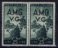 Italy: AMG-VG Sa 19  Closed G In VG MH/* Flz/ Charniere - Mint/hinged