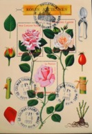 FR.- 1999 - Roses Anciennes N° 24 Oblitéré Et Daté Colmar-Champ-de-Mars Le 1.6.1999 - Parfait Etat - Afgestempeld