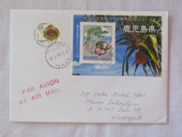 Japan 2014 Cover To Nicaragua - Flowers Fruits - Brieven En Documenten