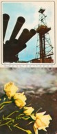 Neftyanye Kamni - Neft Daslari - New Oil Rig - Flowers - 1975 - Azerbaijan USSR - Unused - Azerbaïjan