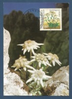 BRD 1991  Mi.Nr. 1509 , Alpenedelweiß - Natur- Und Umweltschutz - Maximum Card - Erstausgabetag Bonn  12.03.1991 - 1981-2000