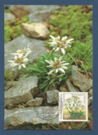 BRD 1991  Mi.Nr. 1509 , Alpenedelweiß - Natur- Und Umweltschutz - Maximum Card - Erstausgabetag Berlin 12.03.1991 - 1981-2000