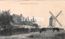 Molen - Lichtervelde - Lichtervelde