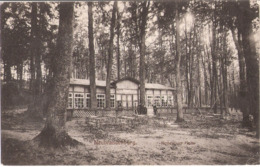 NEUBRANDENBURG Ausflugs Gaststätte Nemerower Holz Belebt Feldpost Datiert 22.7.1910 - Neubrandenburg