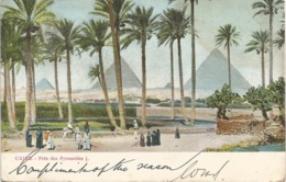 Egypt 1905 Cairo Pyramids Of Gizeh Viewcard - Piramiden