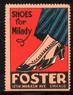 USA FOSTER OF CHICAGO ADVERTISING POSTER STAMP LABEL SHOES FOR MILADY FASHION NHM REKLAMENMARKE VIGNETTE CINDERELLA - Unclassified