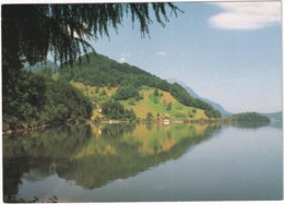 Lauerzersee / Lac De Lauerz - 1988 - (Suisse/Schweiz) - Lauerz