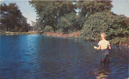 Etats-Unis - Virginia - Norfolk - Azalea Gardens - Pêcheurs - Pêche à La Ligne - état - Norfolk